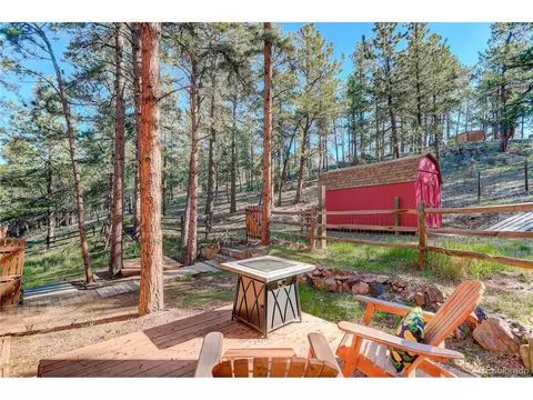 78 Grouse Ln, Bailey, CO 80421 photo 22