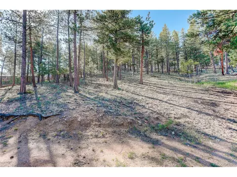 78 Grouse Ln, Bailey, CO 80421 photo 27