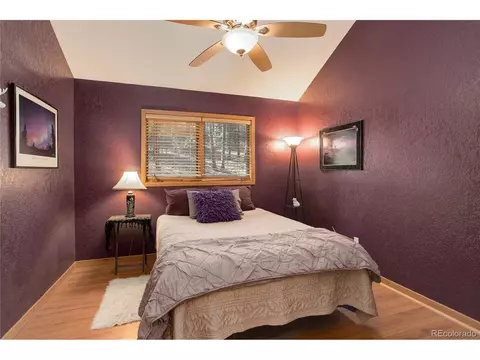 78 Grouse Ln, Bailey, CO 80421 photo 16