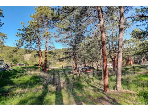 78 Grouse Ln, Bailey, CO 80421 photo 28