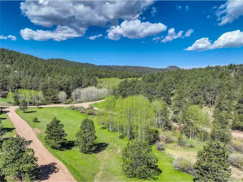 78 Grouse Ln, Bailey, CO 80421 photo 24