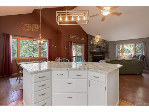 78 Grouse Ln, Bailey, CO 80421 photo 7
