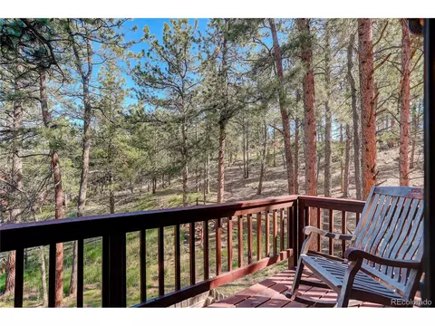 78 Grouse Ln, Bailey, CO 80421 photo 15