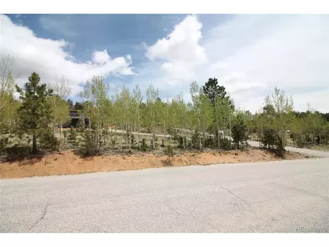 Exterior - 388 Clark Rd, Bailey, CO 80421 photo 4 of 5