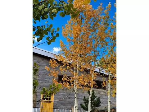 Other - 388 Clark Rd, Bailey, CO 80421 photo 20 of 21