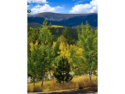 Other - 388 Clark Rd, Bailey, CO 80421 photo 18 of 21