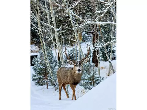 Other - 388 Clark Rd, Bailey, CO 80421 photo 7 of 21