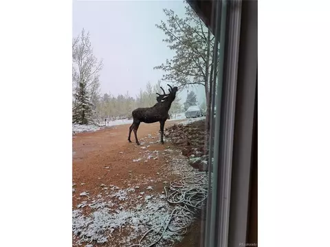 Other - 388 Clark Rd, Bailey, CO 80421 photo 15 of 21