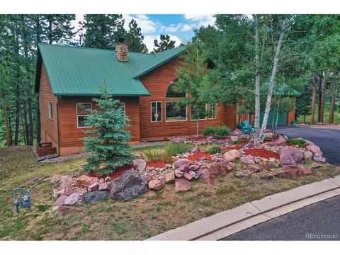 1020 Skyline Ct, Woodland Park, CO 80863
