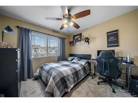 2215 Broadleaf Loop, Castle Rock, CO 80109 photo 27