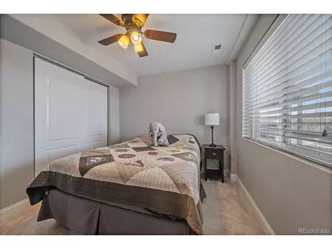 2215 Broadleaf Loop, Castle Rock, CO 80109 photo 35