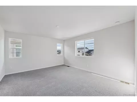 998 Rustling St, Windsor, CO 80550 photo 17