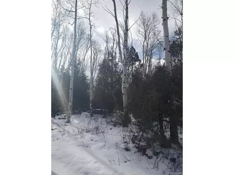 255 Mill Run Rd, Mosca, CO 81146