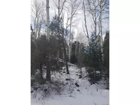 255 Mill Run Rd, Mosca, CO 81146 photo 3