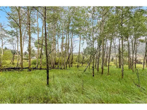 25657 Snyder Ave, Conifer, CO 80433 photo 10