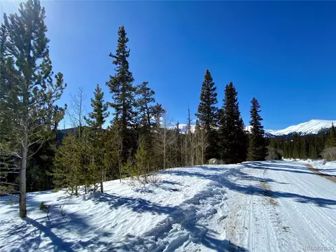 210 Guymard Rd, Fairplay, CO 80440