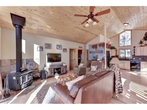 808 Ute Trl, Como, CO 80456 photo 2