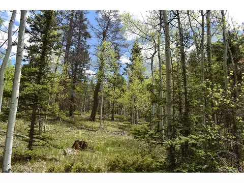 430 Timberline Dr, Guffey, CO 80820