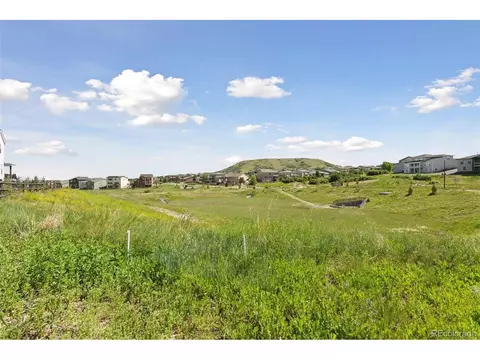 81 Simmental Loop, Castle Rock, CO 80104 photo 33