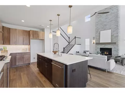 81 Simmental Loop, Castle Rock, CO 80104 photo 17
