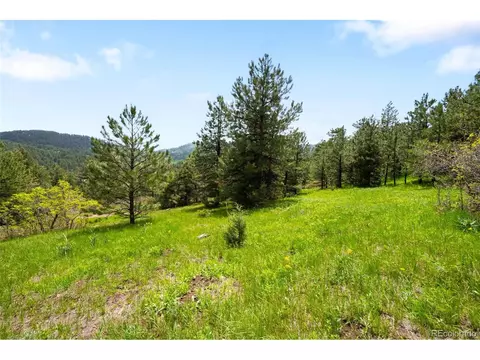 9633 Fox Valley Dr, Morrison, CO 80465 photo 34