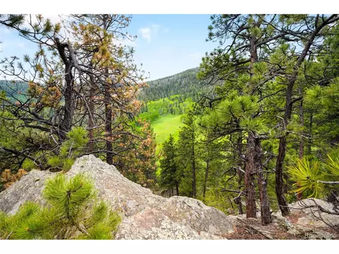 9633 Fox Valley Dr, Morrison, CO 80465 photo 38
