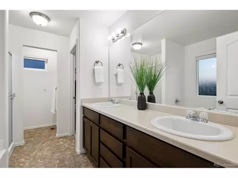 306 Shadowbrook Dr, Windsor, CO 80550 photo 20