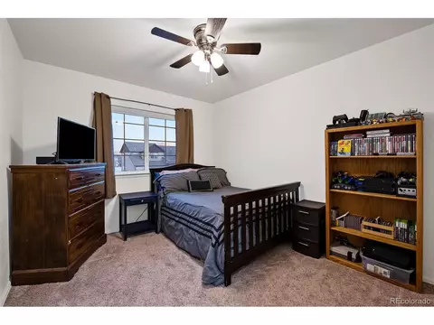 306 Shadowbrook Dr, Windsor, CO 80550 photo 24