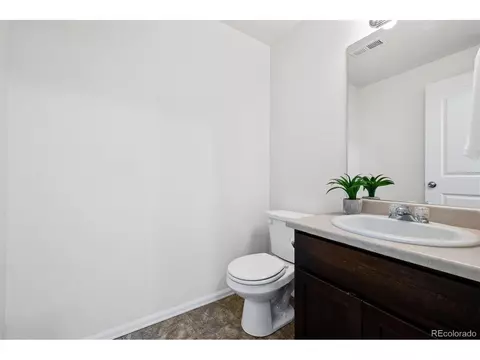 306 Shadowbrook Dr, Windsor, CO 80550 photo 16