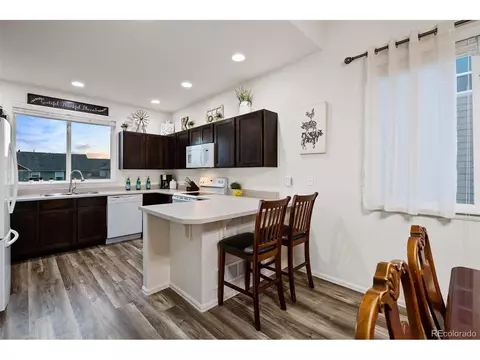 306 Shadowbrook Dr, Windsor, CO 80550 photo 11
