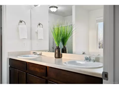 306 Shadowbrook Dr, Windsor, CO 80550 photo 19