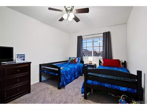 306 Shadowbrook Dr, Windsor, CO 80550 photo 23