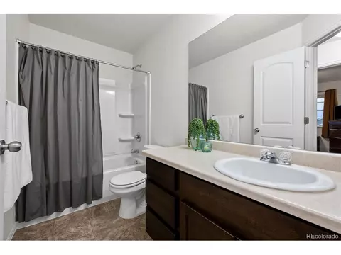 306 Shadowbrook Dr, Windsor, CO 80550 photo 25