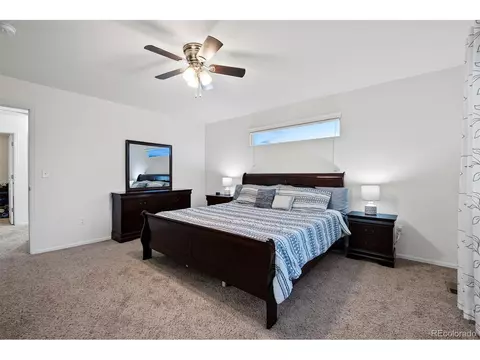 306 Shadowbrook Dr, Windsor, CO 80550 photo 18