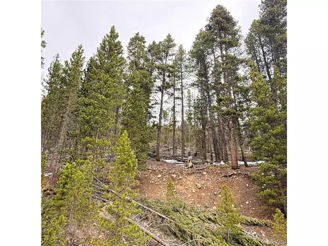 406 Glory Hole Rd, Idaho Springs, CO 80452