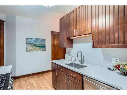 125 E 11th Ave #2, Denver, CO 80203 photo 10
