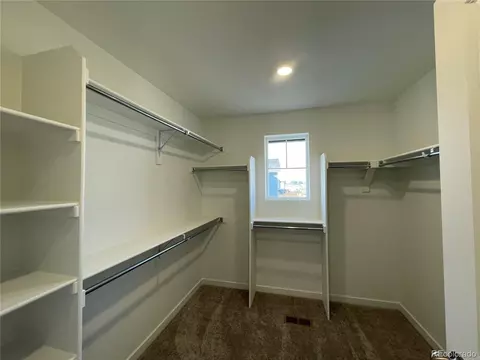 4342 Apple Cider St, Timnath, CO 80547 photo 7