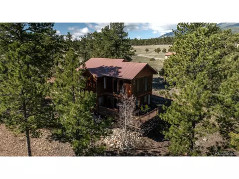 14320 County Road 261h, Nathrop, CO 81236