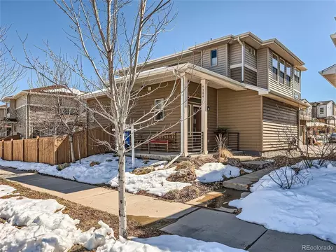 4384 Elegant St, Castle Rock, CO 80109