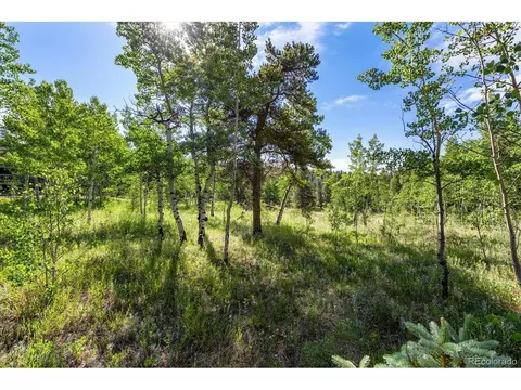 32 Foxtail Cir, Black Hawk, CO 80422 photo 29