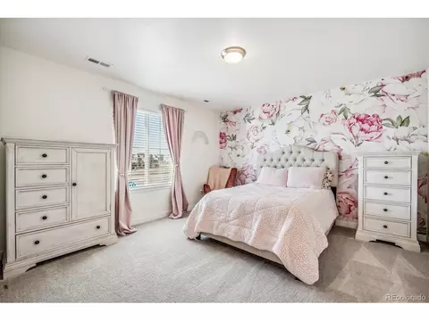5238 E 144th Pl, Thornton, CO 80602 photo 18