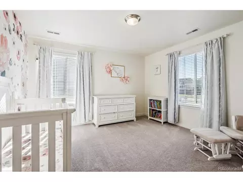 5238 E 144th Pl, Thornton, CO 80602 photo 20