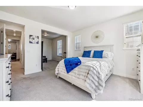 5238 E 144th Pl, Thornton, CO 80602 photo 29