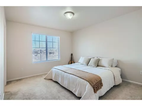 1845 Tinker Dr, Windsor, CO 80550 photo 23