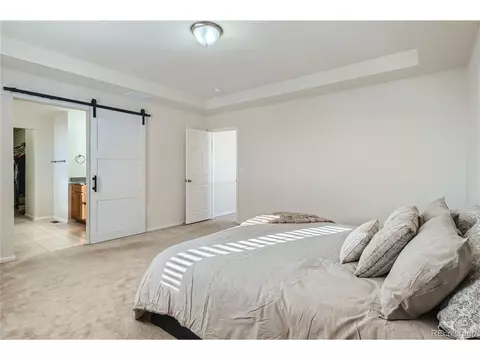 1845 Tinker Dr, Windsor, CO 80550 photo 16