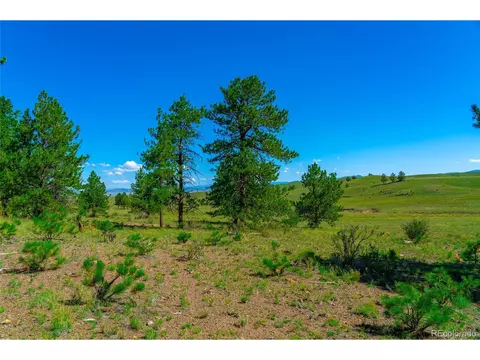 20126 Hwy 9, Hartsel, CO 80449