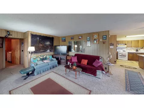 385 NE Indian Camp Ave, Cedaredge, CO 81413