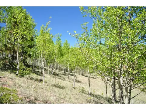81 Strong Ct, Cripple Creek, CO 80813