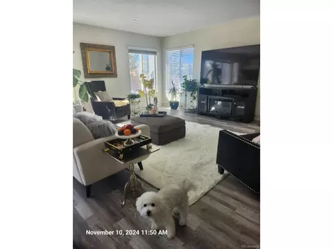 20102 E 43rd Ave, Denver, CO 80249 photo 7