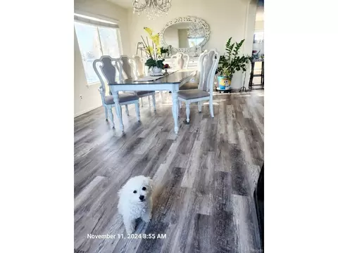 20102 E 43rd Ave, Denver, CO 80249 photo 3